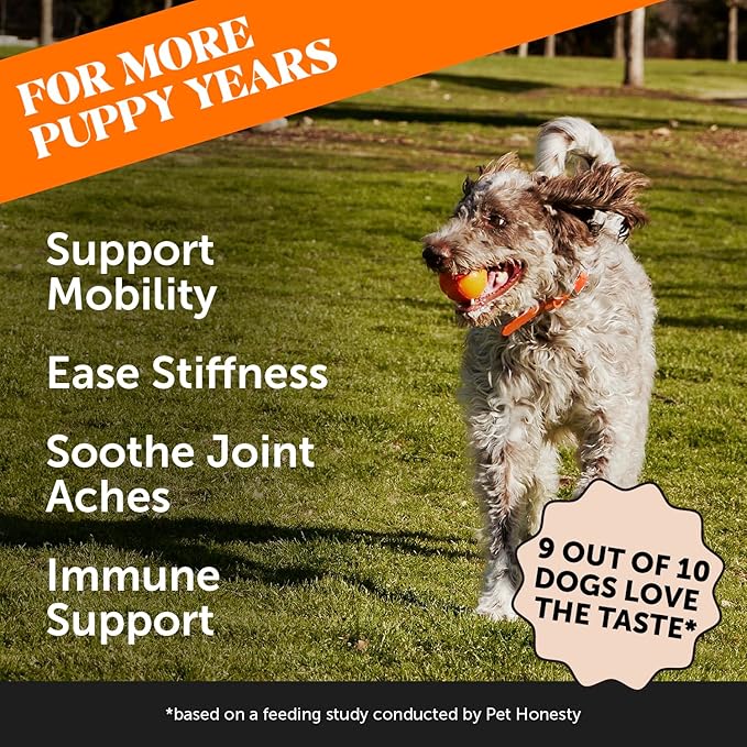 Turmeric Joint Supplement for Dogs - Glucosamine Chondroitin + Omega 3 Fish Oil - Advanced Mobility Support for Achey Joint, Ease Stiffness + Hip Support for Aging Dogs (Pumpkin Coconut, 90 Ct)