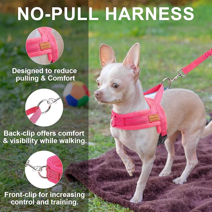 BEAUTYZOO Dog Harness for Small Dogs, No Pull Dog Harness and Leash Set, Soft Escape Proof Puppy Vest Harness with Handle, Reflective Lightweight Step in Harness for Girl Boy Dogs, Pink XS