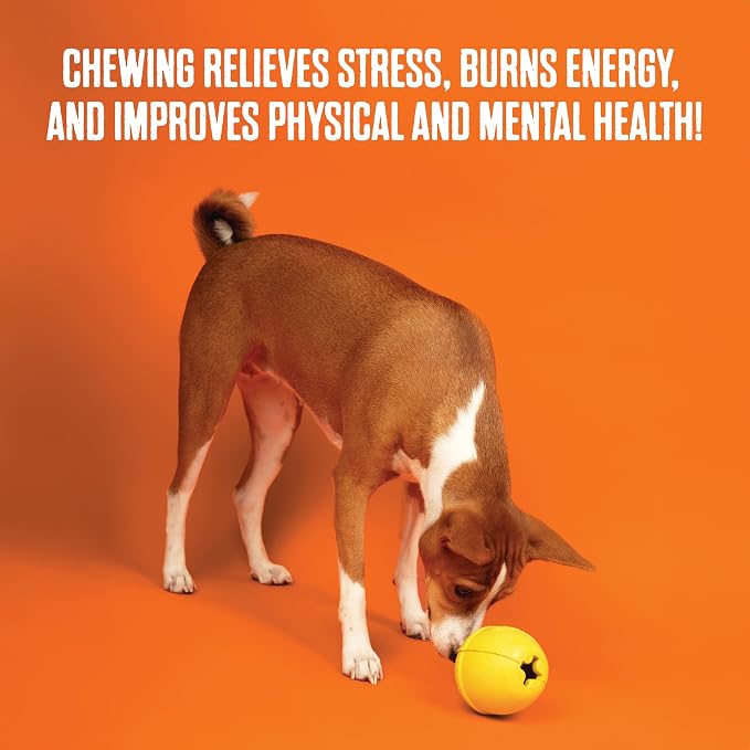 BULLYMAKE Red Tough Chew Steak Toy for Dogs, Durable Nylon Dog Toys for Aggressive Chewers, Dental Stimulating, Tough Chewers, Boredom Busting, Made in USA