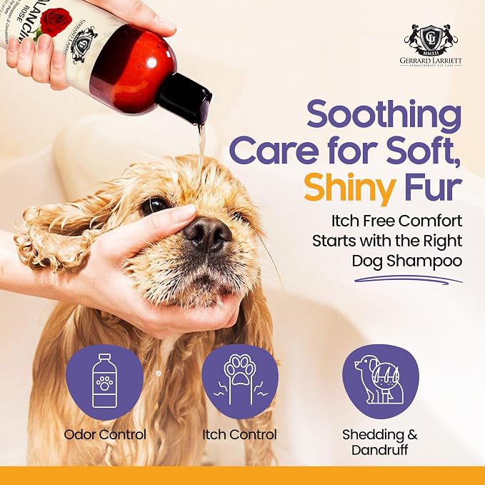 Dog Shampoo and Conditioner Balancing Rose 16 Fl Oz Dog Shampoo Itchy Skin Relief, Aromatherapy Natural Dog Shampoo for Smelly Dogs with Aloe Vera, Rose & Oatmeal Shampoo for Dogs by Gerrard Larriett