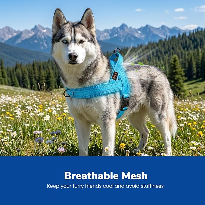 Didog No Pull Dog Harness with Breathable Mesh Padded,Reflective & Quick Fit Light Weight Dog Strap Vest Harness,Easy for Walking Training (M:Chest 21-26", Mesh-Blue)