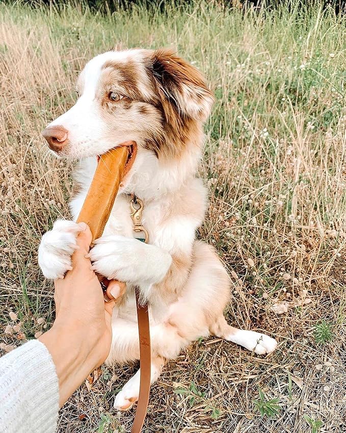 EcoKind Yak Cheese Himalayan Dog Chews, Yak Chews for Large Dogs, Long Lasting Bone for Aggressive Chewers, 3 Ingredients Natural High Protein Treats, No Additives or Lactose, Large - 20+ Chews (5 lb)