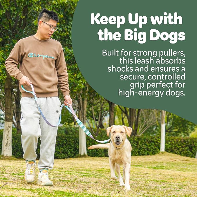Desired Things Bungee Dog Leash Reflective Training Leash with Shock Absorbent Spring, Emergency Pull Handle, Collar Latch, D-Ring Buckle for Dog Treats, Poop Bags, Puppy Essentials - Pink and Blue