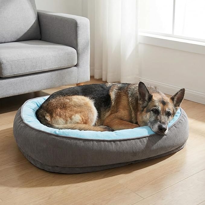 Calming Dog Bed for Medium to Large Dogs 30"x21" - Orthopedic Washable Pet Bed with Anti-Slip Bottom, Indoor Soft Cat Bed with Removable Cover (Sky Blue)