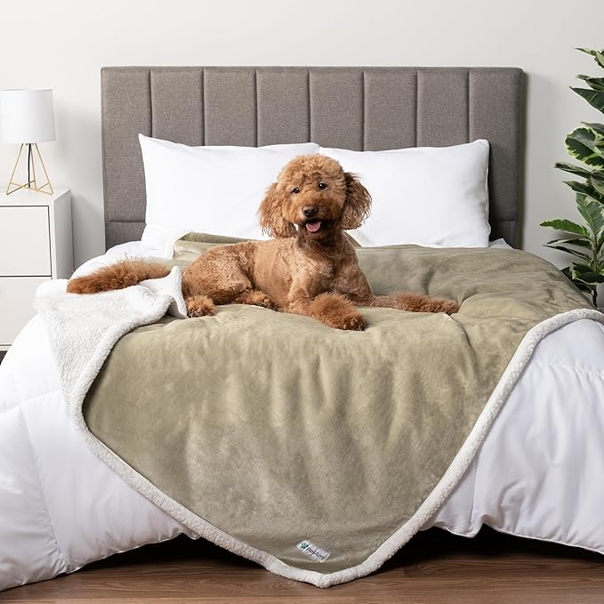 PetAmi Waterproof Dog Blanket for Couch, Queen 90x90, Pee Proof Sherpa Fleece Reversible Pet Throw, Furniture Protector for Bed Sofa, Soft Washable Cover for Large Dogs Cats, Taupe