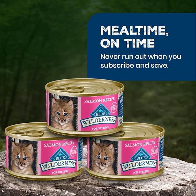 Blue Buffalo Wilderness Kitten Grain-Free Salmon Paté Wet Cat Food with DHA, High-Protein & Made with Natural Ingredients, Supports Healthy Growth & Development, 3-oz. Cans (24 Count)
