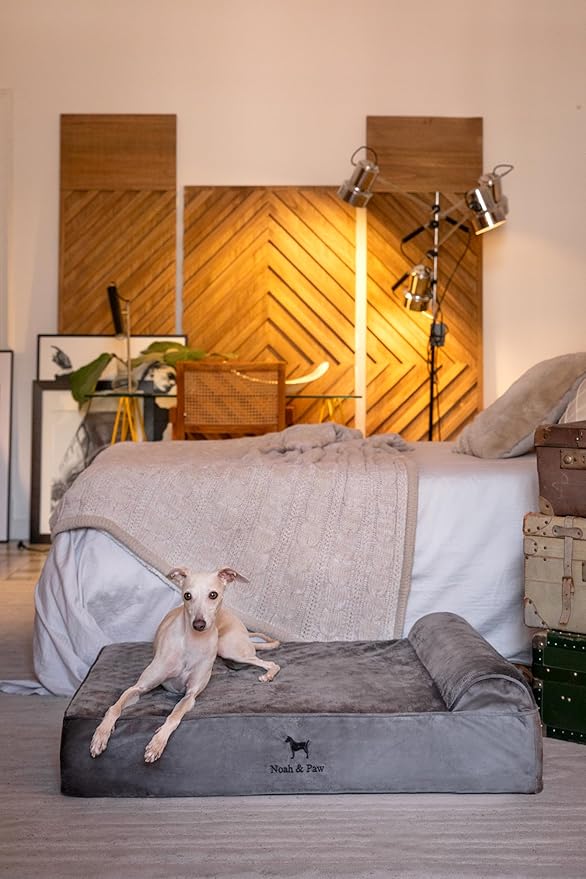 NOAH & PAW Large Dog Bed, 35x25x8.7 Inch, Orthopedic Dog Beds, Eggshell Memory Foam Infused with Cooling Gel, Water Resistant, Machine Washable, Includes Inner Cover (Velvet Collection)