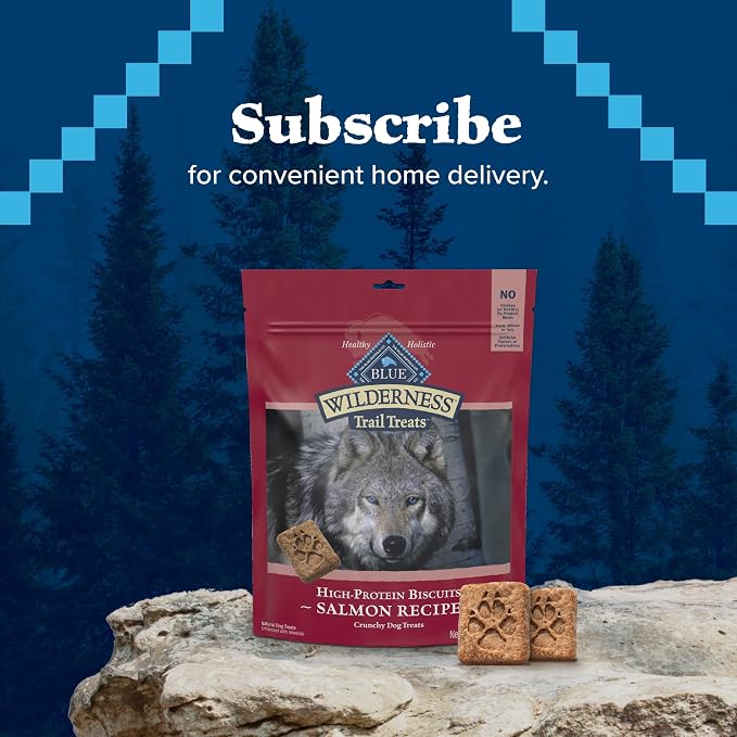 Blue Buffalo Wilderness Trail Treats Salmon Crunchy Dog Biscuits, Grain-Free & High-Protein, Bite-Sized Training Treats Made with Real Salmon & Natural Ingredients, 24-oz Bag