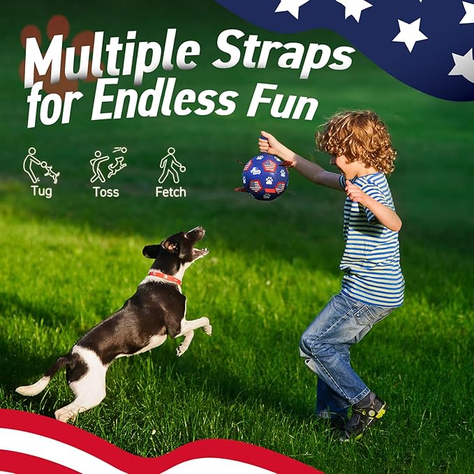 QDAN Dog Toys, Soccer Ball with Straps, Durable Dog Balls for Small Medium, Beach Pool Dog Water Toy (6 Inch)