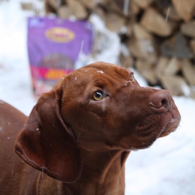 Cadet Gourmet Duck Jerky Dog Treats For Training - Healthy & Natural Dog Training Treats for Small & Large Breeds - Inspected & Tested in USA (28 oz.)