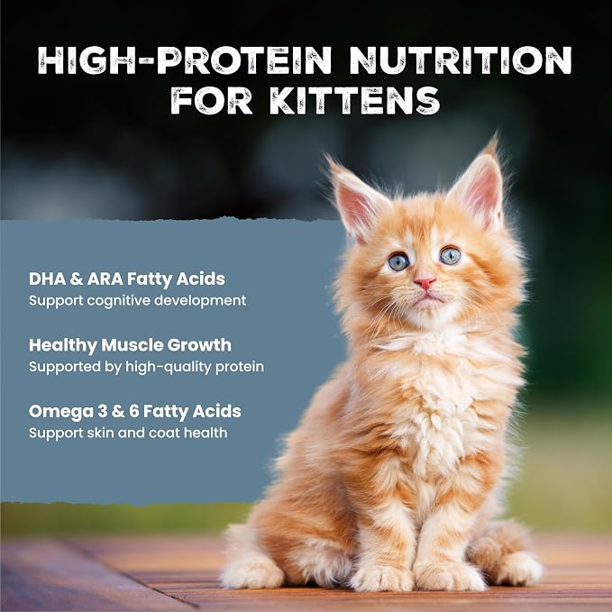 Blue Buffalo Wilderness Kitten Grain-Free Chicken Paté & Salmon Paté Wet Cat Food with DHA, High-Protein & Made with Natural Ingredients, Supports Healthy Growth & Development, 3-oz. Each (6 Count)