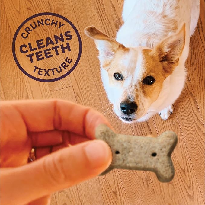 Old Mother Hubbard Wellness Bac'N'Cheez Dog Biscuits,Natural,Training Treats,Bacon & Cheese Flavor,Small Size,(20 Ounce Bag),(Pack of 2)
