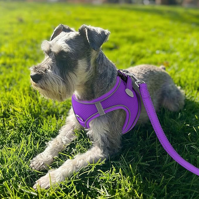 Joytale Small Dog Harness, Breathable Mesh Step-in Vest, Reflective Soft Padded Harnesses for Medium Dogs, Purple, XL