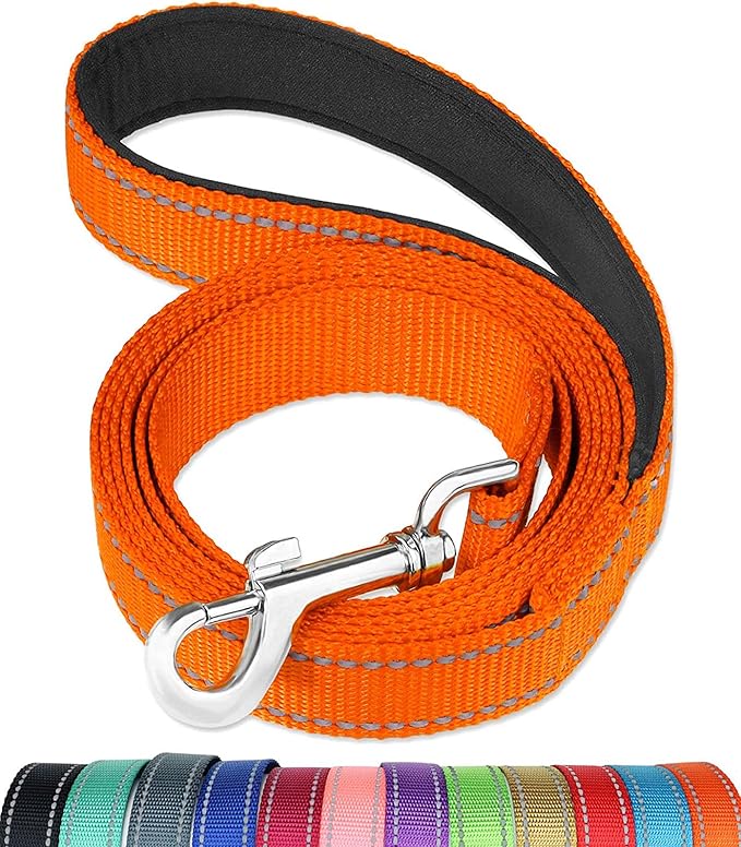 FunTags 6FT Range Reflective Dog Leash for Medium & Small Dogs Walking, Soft Padded Handle Comfortable Grip, Heavy Duty Nylon, Reflective for Night Walking, 3/4in Wide