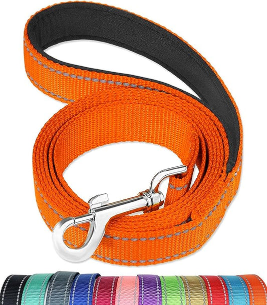FunTags 6FT Range Reflective Dog Leash for Medium & Small Dogs Walking, Soft Padded Handle Comfortable Grip, Heavy Duty Nylon, Reflective for Night Walking, 3/4in Wide