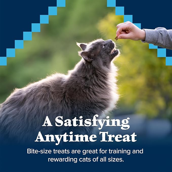 Blue Buffalo Wilderness Soft Cat Treats, Grain-Free and Protein-Rich, Great for Training, Chicken & Turkey Recipe, 2-oz. Bag (Pack of 12)
