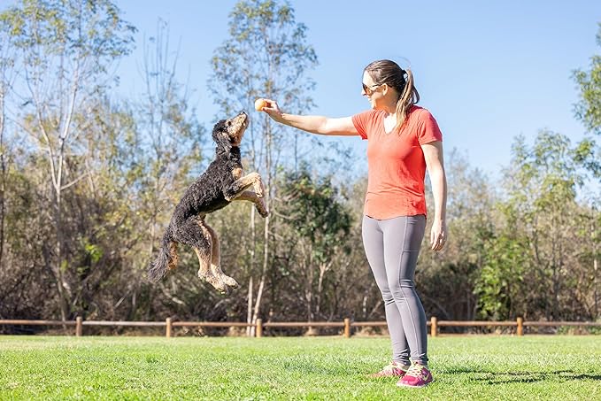 Chuckit! Birthday Fetch Ball, Medium (2.5 Inch Diameter), for Dogs 20-60 lbs, Pack of 12