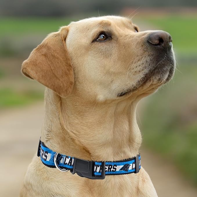 Pets First NFL Carolina Panthers Licensed PET COLLAR, Small - Heavy-Duty, Strong, and Durable Dog Collar. Available in 31 Football Teams and 4 Sizes