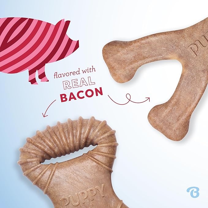 Benebone Puppy 2-Pack Dental Chew/Wishbone Durable Dog Chew Toys for Gentle Chewers, Real Bacon, Made in USA, Small
