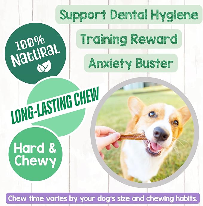 Nature Gnaws Thin Bully Sticks for Dogs 5-6" (8oz) - Mixed Thickness - Long Lasting for Small Dogs and Puppies - Natural Thin Beef Dog Chew Bones - Rawhide Free