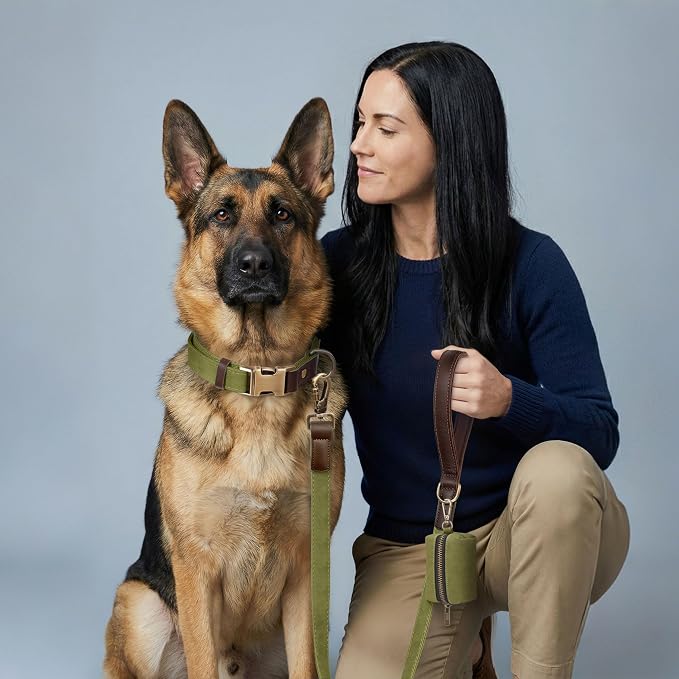 Didog Soft PU Leather Dog Collar for Large Dogs,Classic Adjustable Wide Dog Collars with Quick Release Metal Buckle,Easy Clean and Comfortable with Nylon Lining,Olive Green,XL Neck 20-27", Width 1¼"
