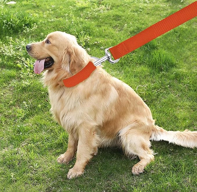TAIAN 4FT/5FT/6FT Strong Dog Leash, Nylon Dog Leashes for Small Medium Large Dogs (3/4 in x 5 ft, Orange)