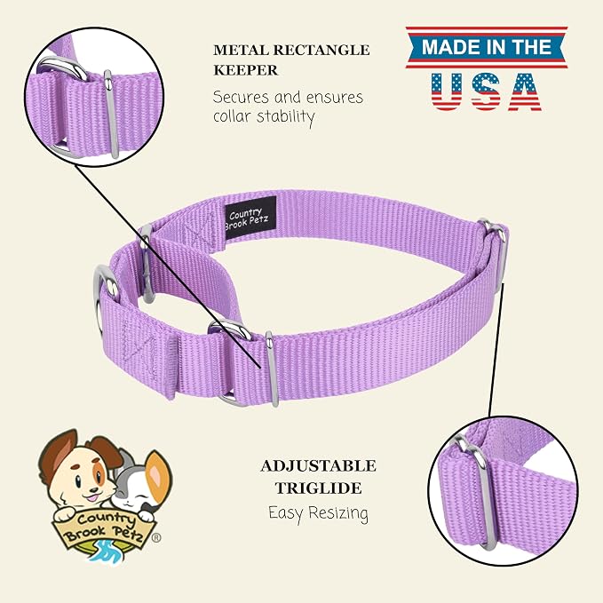 Country Brook Petz - Martingale Dog Collar - Heavy-Duty Training Collar with No Buckle - Service Dog Collar for All Pups - 20 Vibrant Colors (Lavender, 3/8 Inch, 2XS)