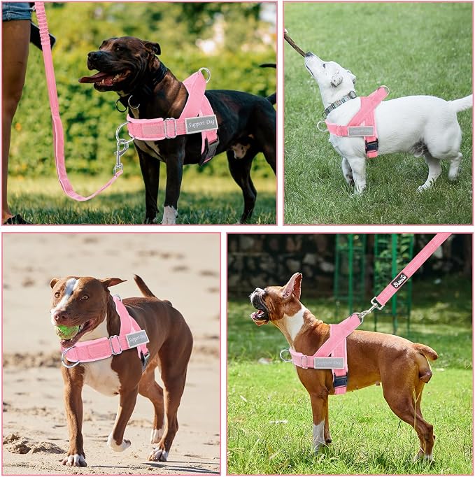 Lukovee No Pull Dog Harness and Leash Set - Adjustable Soft Padded Vest with Front Clip for Easy Control, Reflective Durable Harness for Safe Daily Training Walking for Medium Large Dogs (XL, PI)