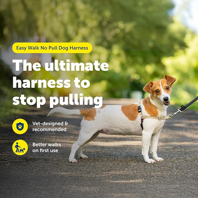 PetSafe Easy Walk No-Pull Dog Harness - Ultimate Harness to Help Stop Pulling - Pull-Free Walks - Take Control & Teach Better Leash Manners - Patented Martingale Loop Design - Fawn, Small