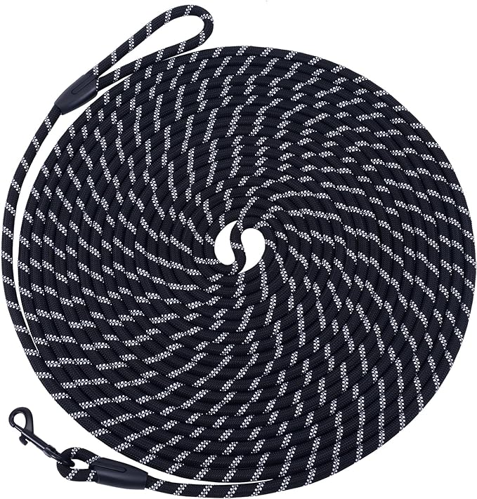 Long Dog Leash for Training 30Ft-Reflective Nylon Rope with Swivel Hook-Recall Agility Lead for Large Small Medium Dogs Outside Walking Hiking-Black