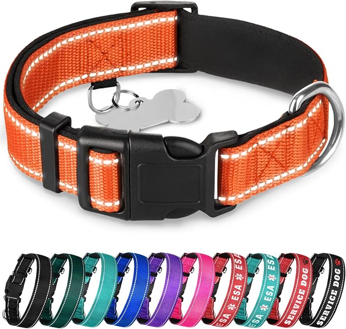 TECEUM Reflective Dog Collar – Orange – M – Extra Soft Padding – Basic Nylon Pet Collar – Quick Release Buckle – Fits Small, Medium and Large Dogs, Puppies, Cats – ESA & Service Dog Options