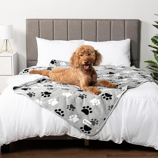 PETAMI Sherpa Fleece Waterproof CAT and Dog Blanket, PAW Gray, Queen