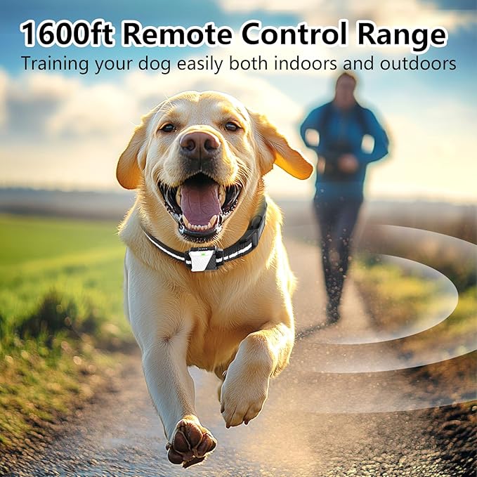 Shock Collar for Dogs, Dog Training Collar with Remote Control for 2 Dogs, 3 Training Modes with Beep, Vibration and Satic, Waterproof, Rechargeable for Large Medium