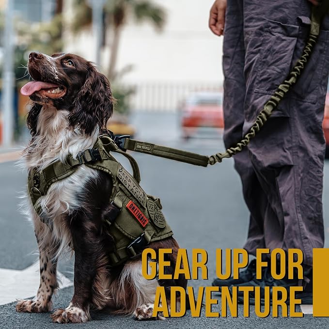 OneTigris Tactical Dog Training Bungee Leash with 2 Control Handle Quick Release Nylon Leads Rope(Ranger Green)