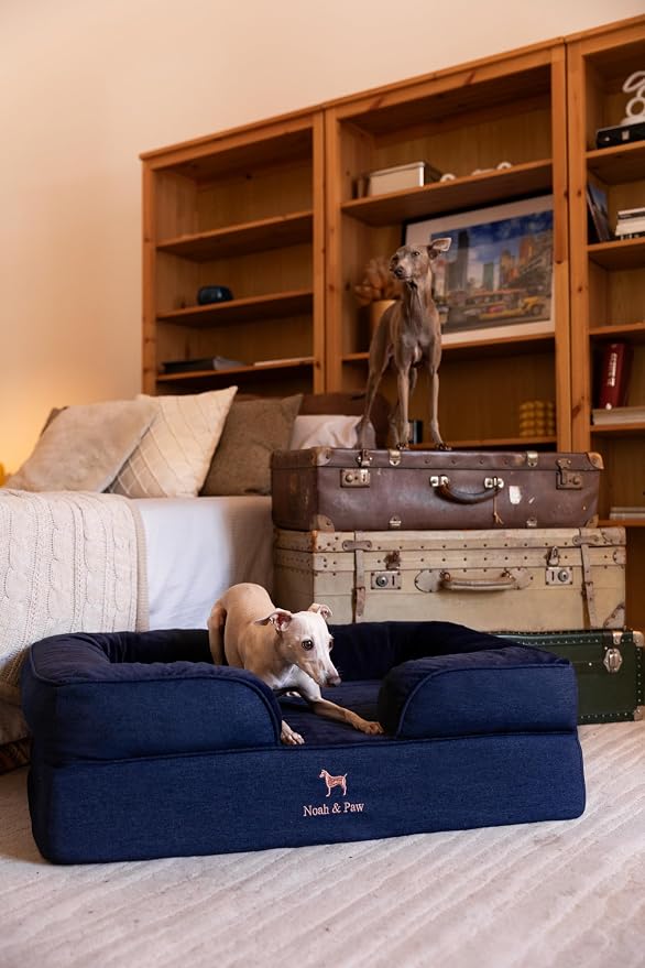 NOAH & PAW Large Dog Bed, 35x25x11 Inch, Orthopedic Dog Beds, Eggshell Memory Foam Infused with Cooling Gel, Inner Cover, Water Resistant, Machine Washable (Denim Sofa Collection)