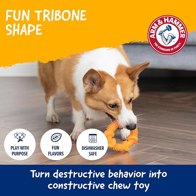 Arm & Hammer Nubbies Dog Dental Chew Toy, Rubber Ring, Peanut Butter Flavor, for Moderate Chewers, Reduces Plaque and Tartar Buildup, Baking Soda Infused, No Stuffing