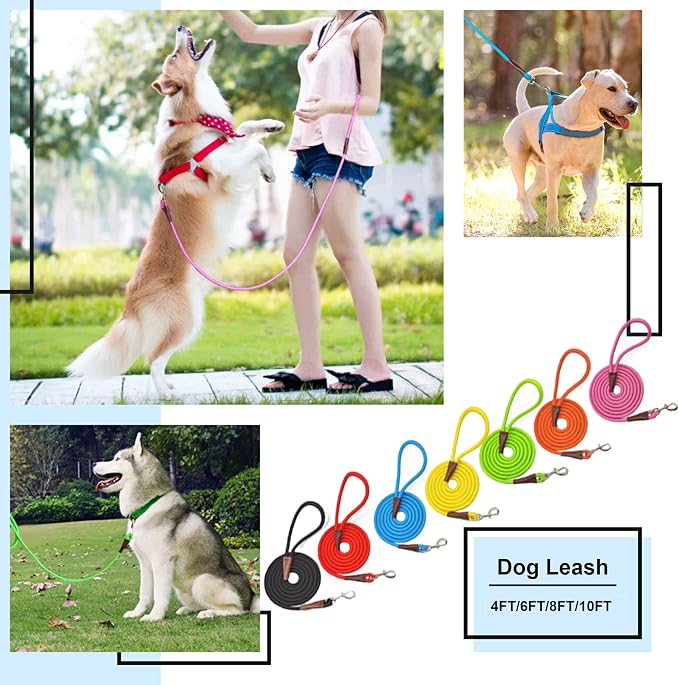 MayPaw 4/6 /8/10 FT Dog Leash, Classic Solid Colors, Strong Nylon Rope Dog Leash Reinforced with Leather Tailor Connection Heavy Duty Silver Clasp (Orange, 6ft*1/2")