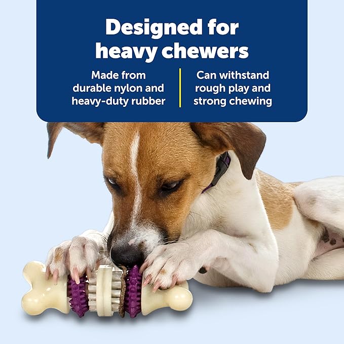 PetSafe Busy Buddy Bristle Bone Dog Chew Toy - Treat Holding Toothbrush Toy for Hard Chewers - Helps Keep Your Dog's Teeth Clean - Durable, Interactive - Purple, Medium