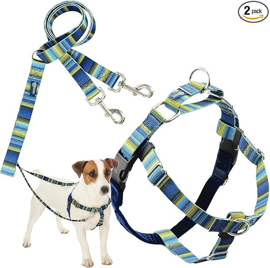 2 Hounds Design - Freedom No-Pull Harness & Training Leash in Blue and Green | Dual Leash Loops, No Pulling on Walks | Lined to Prevent Chaffing | for Small Sized Dogs (Size S, Chest 20”- 24”)