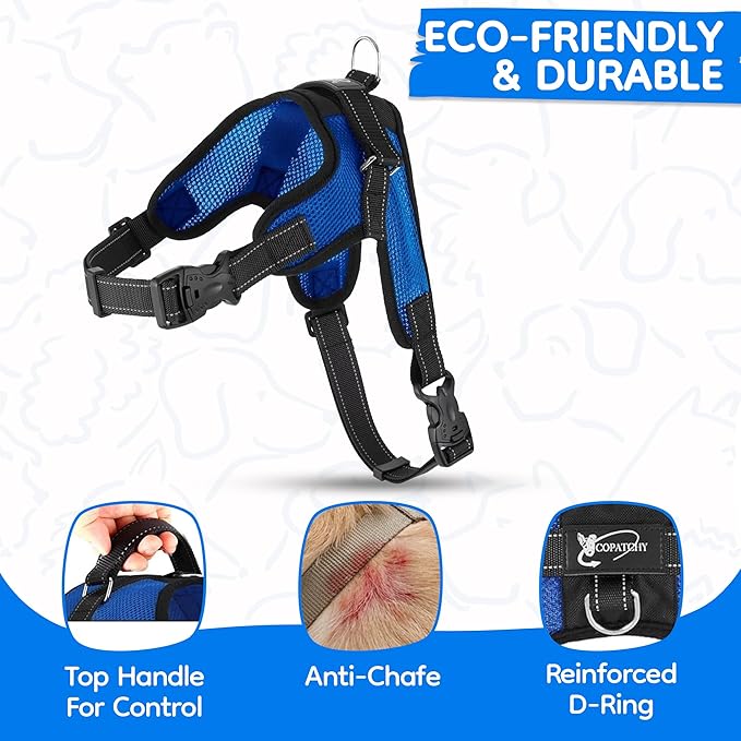 No Pull Reflective Adjustable Dog Harness With Handle- Comfortable Soft All Weather Mesh, Easy On Puppy Harness For Small Medium and Large Dogs (Blue) X-Large