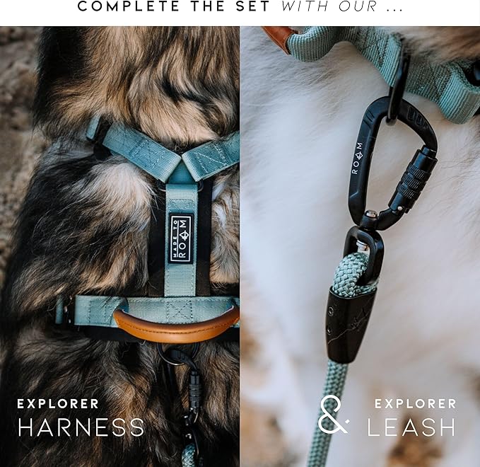 Made to ROAM Premium Explorer Control Collar - Adjustable Heavy Duty Nylon Dog Collar with Quick-Release Metal Buckle and Handle (Nevada Evening, Control Size 4)