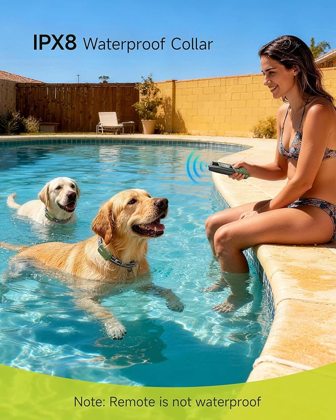 Shock Collar for 2 Dogs (10-120lbs) - 4200FT Dog Training Collar with Remote, IPX8 Waterproof Electric Collar with 4 Training Modes, Rechargeable E-Collar for Large Medium Small Breeds