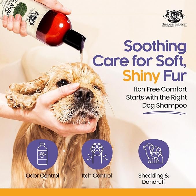 Dog Shampoo and Conditioner Relaxing Wildwoods 16 Fl Oz - Dog Shampoo Itchy Skin Relief, Aromatherapy Natural Dog Shampoo for Smelly Dogs with Aloe Vera & Oatmeal Shampoo for Dogs by Gerrard Larriett