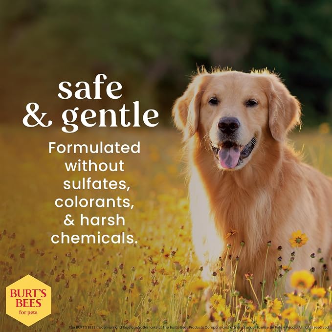 Burt's Bees for Pets Itch Soothing Shampoo with Honeysuckle, 95% Natural Origin, Dog Shampoo for Itchy Skin Relief, pH Balanced, Free of Sulfates and Parabens, 16 Fl Oz