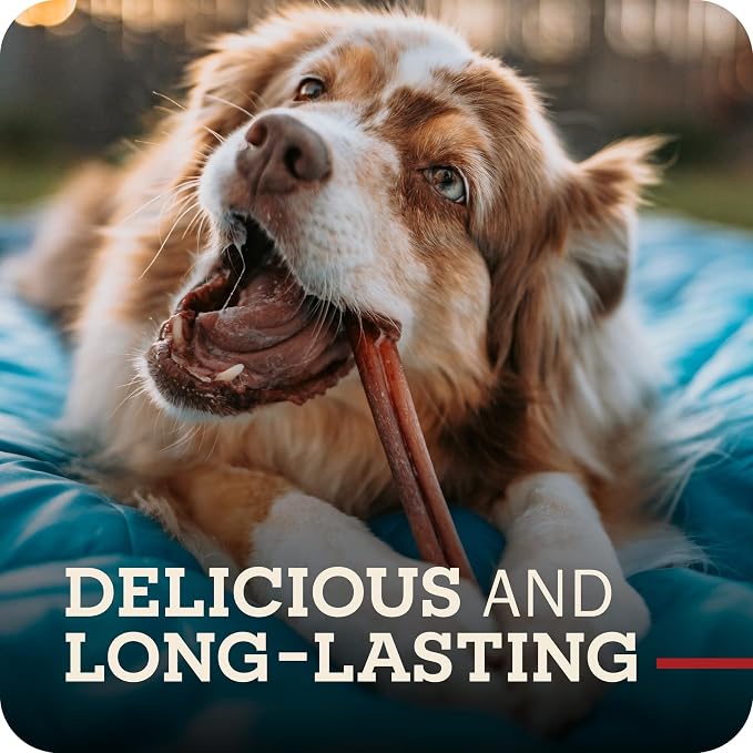 Redbarn Pet Products All Natural 4-5" Bully Sticks for Small & Medium Dogs - Healthy Long Lasting Chews Variety Party Pack - 100% Beef Single Ingredient Low Odor Rawhide Free - Bag, 12oz