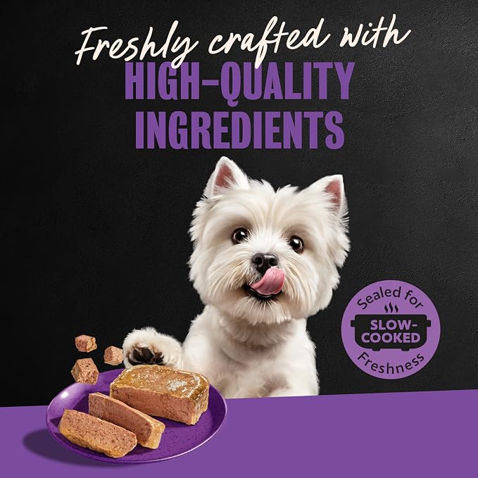 Cesar Classic Loaf in Sauce Adult Wet Dog Food, Grilled Chicken Flavor and Top Sirloin Flavor, 3.5 oz. Easy Peel Trays, Variety Pack (12 Count, Pack of 2)