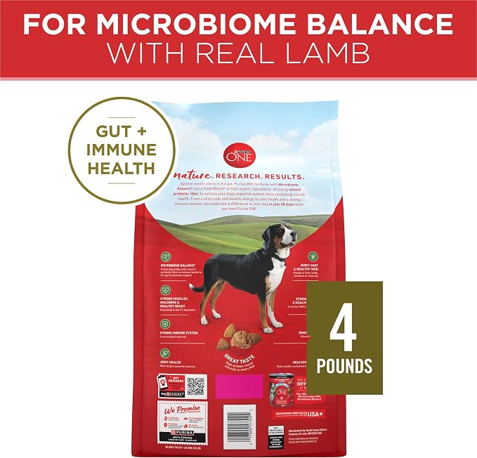 Purina ONE Dry Dog Food Lamb and Rice Formula - (Pack of 4) 4 lb. Bags