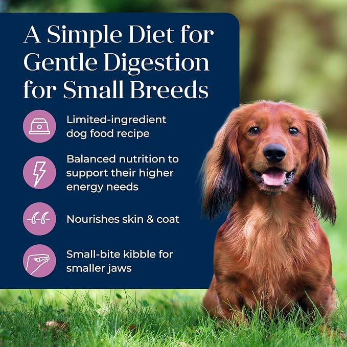 Blue Buffalo Basics Dry Dog Food for Small Breed Adult Dogs, Limited Ingredient Diet, Turkey Recipe, 11-lb. Bag