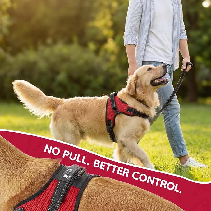 No Pull Reflective Adjustable Dog Harness with Handle- Comfortable Soft All Weather Mesh, Easy On Puppy Harness for Small Medium and Large Dogs (Red) X-Large