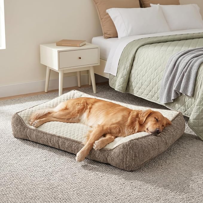 JOEJOY Extra Large Orthopedic Dog Beds Large Sized Dog, Extra Thick Supportive Big Dogs Bed with Sides, Ultra Soft Pet Bed Sofa, Beige, 48''x35''